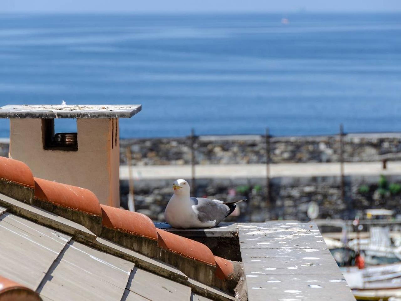 Joivy Charm 1 Bed Apt Overlooking Port Of Camogli Apartment Exterior photo